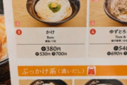 【悲報】日本、かけうどんが700円になって終わる