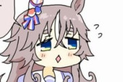【ウマ娘】𝓕𝓮𝓫𝓻𝓾𝓪𝓻𝔂 𝓼𝓽𝓪𝓴𝓮𝓼