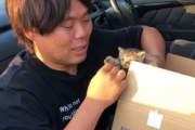 【速報】へずまりゅう、動物系YouTuberとして復活していた
