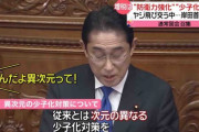 【少子化対策の財源】岸田首相 「社会全体が広く負担する視点重要」