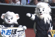 【朗報】西武、あと10勝で2024年シーズン勝利数に到達