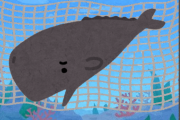 オーストラリアさん、サメ避けネットでクジラを捕獲してしまう　保護団体はサメ避けネット撤去を要求