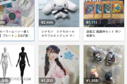 ワイ「ふぅ...メルカリの取引終了と、評価はっと」相手「最悪の取引相手でした」