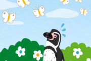 ペンギンさん「あ、ちょうちょ……」