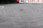 【宇宙人の仕業か】佐賀県の神社に次々と謎の “ミステリーサークル”