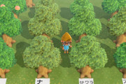 【あつまれ どうぶつの森】フルーツのなる木の見分け方