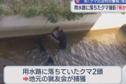【新潟・新発田市】用水路に落ちたクマ撮影「人間の叫び声かと思うくらいすごかった」