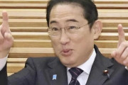 自民党「移民の給料は日本人と同等以上にすべき」
