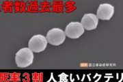 【緊急】『劇症型溶連菌』が激増してる理由がこれらしい…