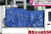 【秋田】「殺さないで！」スーパーに立て籠もったクマ殺処分に抗議の電話殺到
