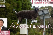 富山・小矢部市長「イノシシよ！山へ帰れ！ここはお前たちの来るところではない！」