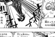 【画像】最近のワンピースで一番意味のわからないシーンWWWWWWWWWWWWWWWWWW