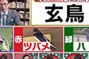 【画像】 「東大王」で負けたあの芸能人がガチ切れで視聴者騒然 「バラエティー出るな」「生放送向きじゃない」