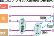 新型コロナが原因で自宅療養中に死亡した人の人数は厚労省は把握していないことが判明