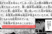 鬼滅作者「無惨を倒したので今後鬼が生まれる事は無い」フジテレビ「そこをなんとかして続編作ってください」