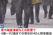 【悲報】東京民、雪で転んで40人が救急搬送