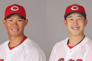 カープ小園＆坂倉が侍ジャパン選出！井端監督「野球界を背負って立ってほしいなという人選」