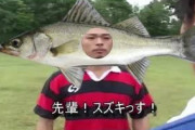 漁師先輩「いいよ！来いよ！(魚群)」