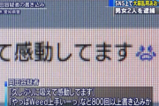SNSに「久しぶりに吸えて感動」 大麻の濫用をあおった男女を逮捕