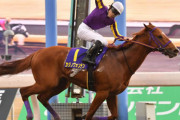 【チャンピオンズC】地方馬カジノフォンテン馬主「JRAのジョッキーを起用するならいいよ」