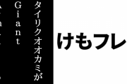 【けものフレンズ３】タイリクオオカミが「Giant Armadillo」と誤記