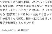 【悲報】ヒカキンの母親、女さん達にボコボコに叩かれる