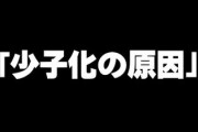 少子化の原因って恋愛が面倒だからだよな？