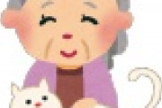 【悲報】未婚・離別の高齢単身女性の老後ｗｗｗｗｗｗｗｗｗｗｗｗｗｗ