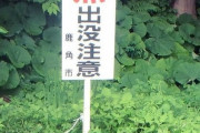 【秋田】鹿角市「体長70メートル程のクマが目撃されております」