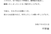 平野綾、離婚