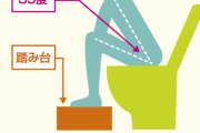 【画像あり】お前ら、「正しい体勢で」う〇こしてる？