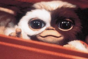 30年ぶりくらいに映画「グレムリン」を見た。ほのぼのファンタジーだと思ってたらとんでもなく怖い映画だった…