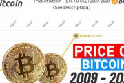 【動画】2011年のビットコインが110円ｗｗｗｗｗｗｗｗｗ