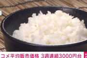 【朗報】5kg3000円台の米、スーパーに続々と並び出すｗｗｗｗｗｗ