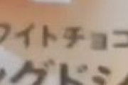 外国人「他の国でもこれを義務付けて欲しい！」日本人の正確さがよく分かる動画に海外が驚き！