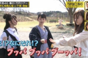 【乃木坂46】そろそろこの3人でユニット組んでほしいな