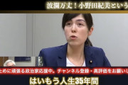 小野田大臣「今まで男性と付き合った事ない。二次元キャラ以外好きにならない」  [7/20]