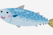 【さいたま】海なし県埼玉で『サバ養殖』　寄生虫の心配なく生食で提供可