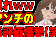 【悲報】有名個人Vtuberさん、大動脈解離で入院→延命治療をやめた模様……