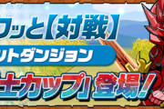 【パズドラ】8カス全くやってないからどうでもいいけど妨害スキルなんて要らないんじゃないかな