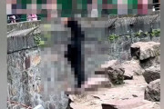 とある動物園のクマさん、着ぐるみ疑惑が浮上 → 撮影された動画が怪しすぎると話題にｗｗｗｗｗ