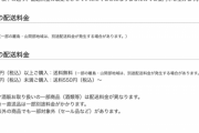 【悲報】ビックカメラ.comが2,000円未満の買物の送料を有料へ