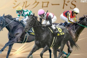 第29回 シルクロードステークス (GⅢ).第38回 根岸ステークス (GⅢ)