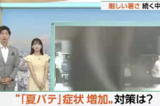 【警告】医師『夏バテ、ガチで増えてる。お前ら絶対これやっとけ』