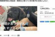 【悲報】女さん(26)「愛犬が闘病中なんですクラファンで助けて！」→衝撃の結末へ