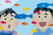 水槽に魚入れて飼うのって結構残酷じゃね？