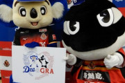 中日ドラゴンズと名古屋グランパスが共同プロジェクト「Dra&GRA（ドラとグラ）」をスタート