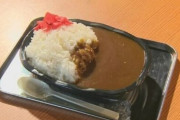 【悲報】格安『200円カレー』を提供していた原価率研究所が破産手続き開始