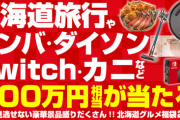 【2020円】楽天にて北海道旅行・ルンバ・ダイソン・Switch・カニ等があたる福袋が発売中！
