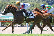 【競馬】　フェアリーステークス(GⅢ)　2chレスまとめ